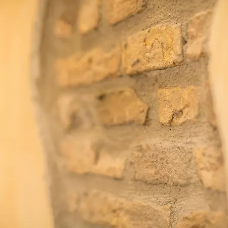 Vatican Garden روما